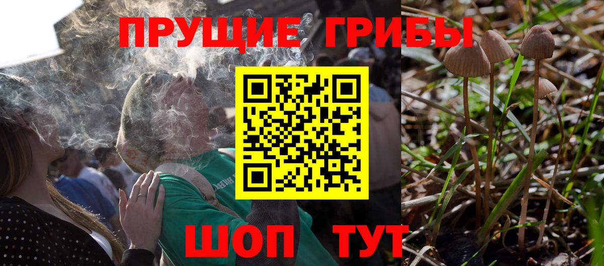 Псилоцибиновые грибы ЛСД  Вход с VPN  Балашов  Галлюциногенные грибы Cubensis 
