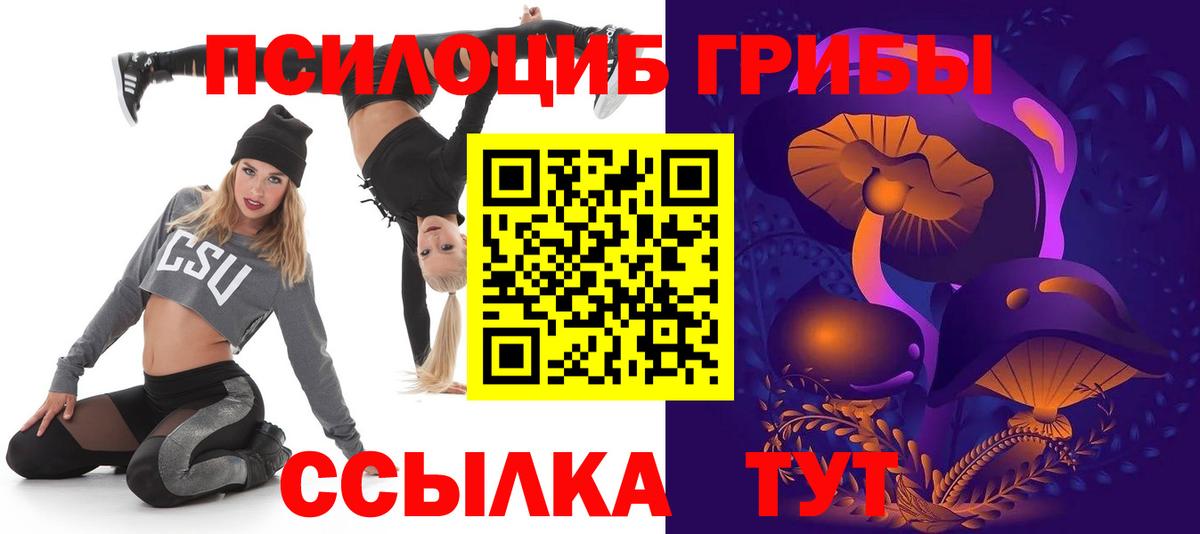 Псилоцибиновые грибы мицелий Балашов